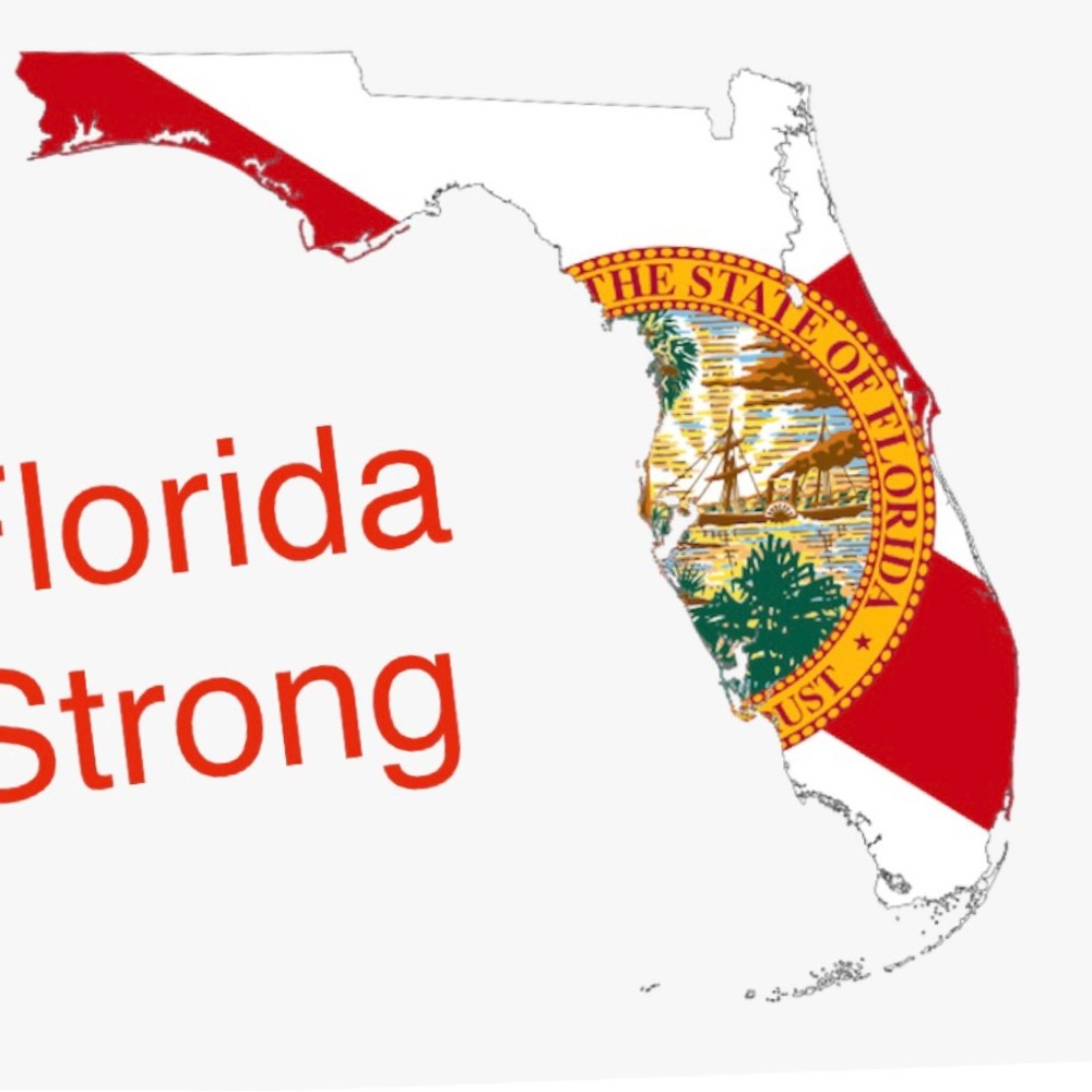 Florida Strong Necklace - Picture 3 of 3